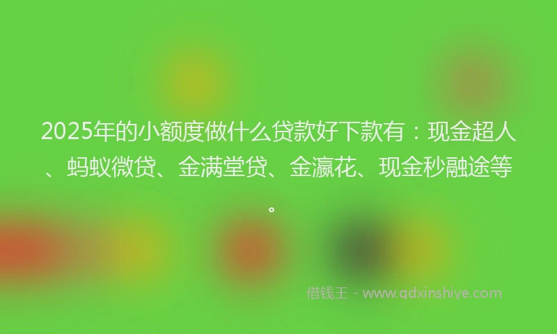2025年的小额度做什么贷款好下款有：现金超人、蚂蚁微贷、金满堂贷、金瀛花、现金秒融途等。