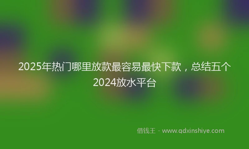 2025年热门哪里放款最容易最快下款，总结五个2024放水平台