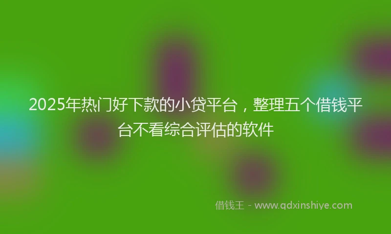 2025年热门好下款的小贷平台，整理五个借钱平台不看综合评估的软件