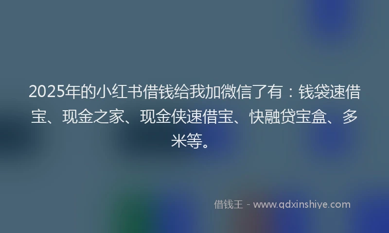 2025年的小红书借钱给我加微信了有：钱袋速借宝、现金之家、现金侠速借宝、快融贷宝盒、多米等。