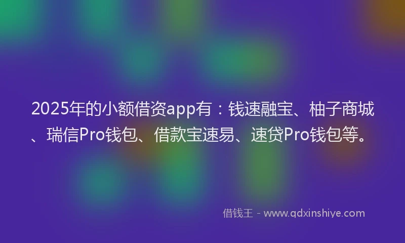 2025年的小额借资app有：钱速融宝、柚子商城、瑞信Pro钱包、借款宝速易、速贷Pro钱包等。