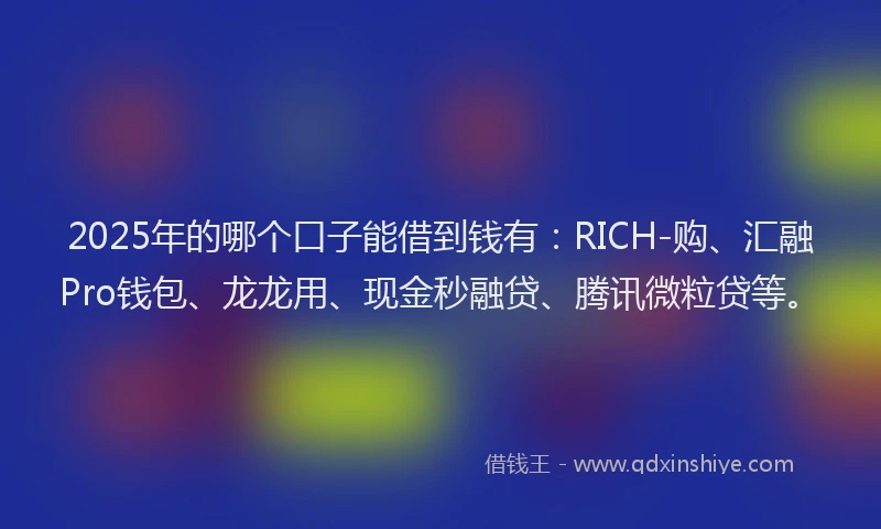 2025年的哪个口子能借到钱有：RICH-购、汇融Pro钱包、龙龙用、现金秒融贷、腾讯微粒贷等。