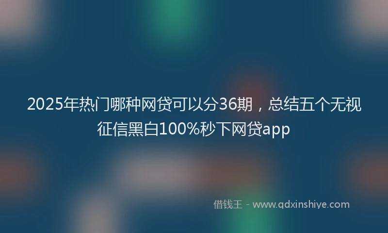 2025年热门哪种网贷可以分36期，总结五个无视征信黑白100%秒下网贷app