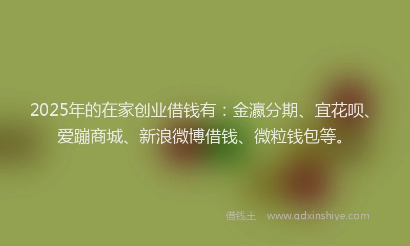 2025年的在家创业借钱有：金瀛分期、宜花呗、爱蹦商城、新浪微博借钱、微粒钱包等。