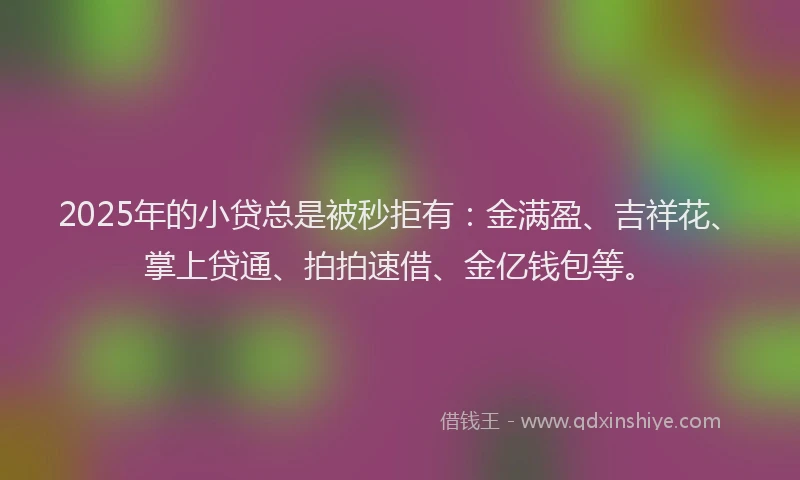2025年的小贷总是被秒拒有：金满盈、吉祥花、掌上贷通、拍拍速借、金亿钱包等。
