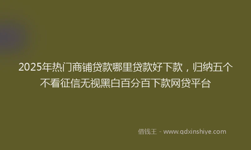 2025年热门商铺贷款哪里贷款好下款，归纳五个不看征信无视黑白百分百下款网贷平台
