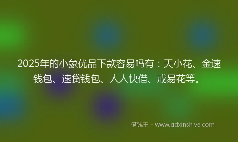 2025年的小象优品下款容易吗有：天小花、金速钱包、速贷钱包、人人快借、戒易花等。