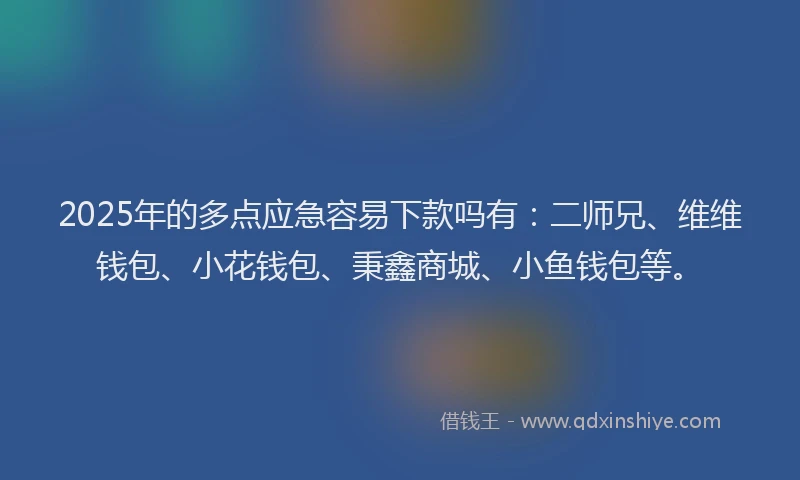 2025年的多点应急容易下款吗有：二师兄、维维钱包、小花钱包、秉鑫商城、小鱼钱包等。