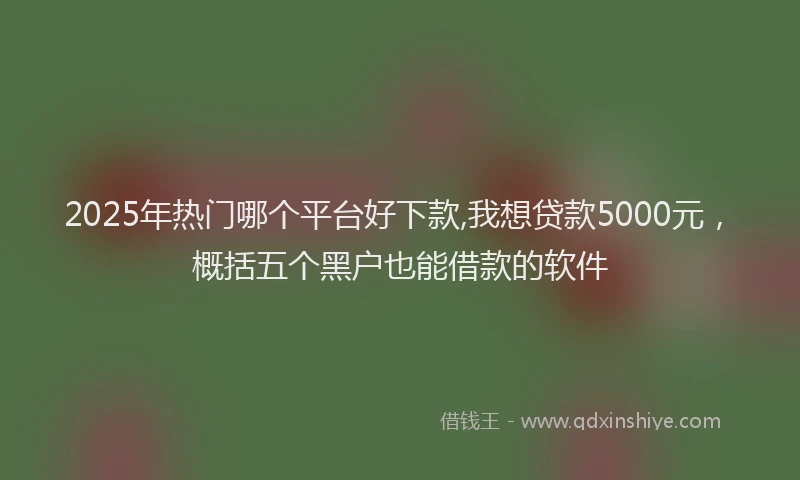 2025年热门哪个平台好下款,我想贷款5000元，概括五个黑户也能借款的软件