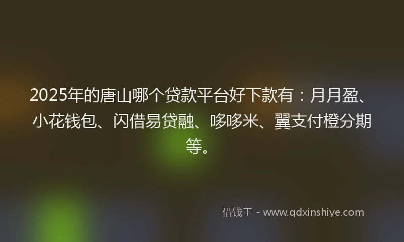 2025年的唐山哪个贷款平台好下款有：月月盈、小花钱包、闪借易贷融、哆哆米、翼支付橙分期等。