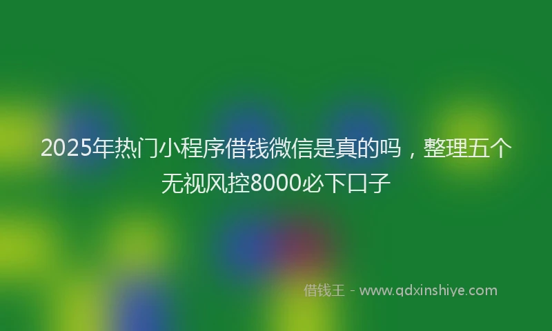 2025年热门小程序借钱微信是真的吗，整理五个无视风控8000必下口子