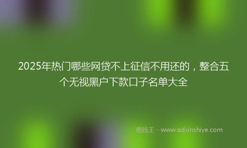 2025年热门哪些网贷不上征信不用还的，整合五个无视黑户下款口子名单大全