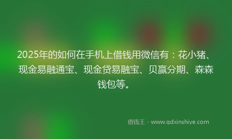 2025年的如何在手机上借钱用微信有：花小猪、现金易融通宝、现金贷易融宝、贝赢分期、森森钱包等。