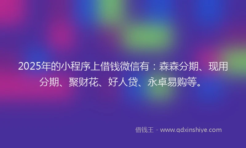 2025年的小程序上借钱微信有：森森分期、现用分期、聚财花、好人贷、永卓易购等。