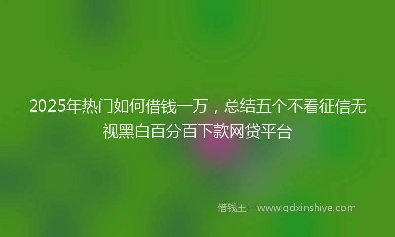 2025年热门如何借钱一万，总结五个不看征信无视黑白百分百下款网贷平台
