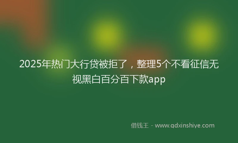 2025年热门大行贷被拒了，整理5个不看征信无视黑白百分百下款app