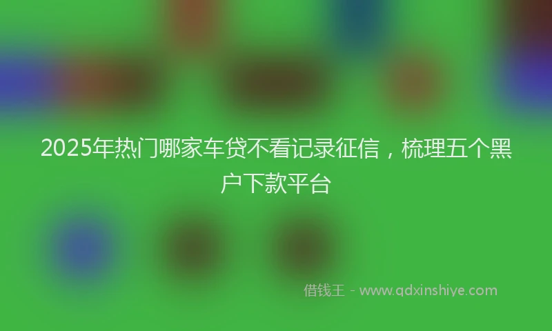 2025年热门哪家车贷不看记录征信，梳理五个黑户下款平台