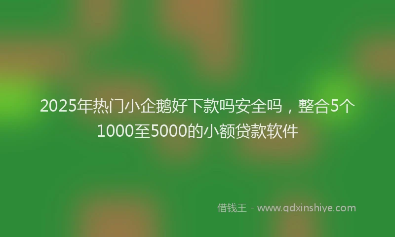 2025年热门小企鹅好下款吗安全吗，整合5个1000至5000的小额贷款软件
