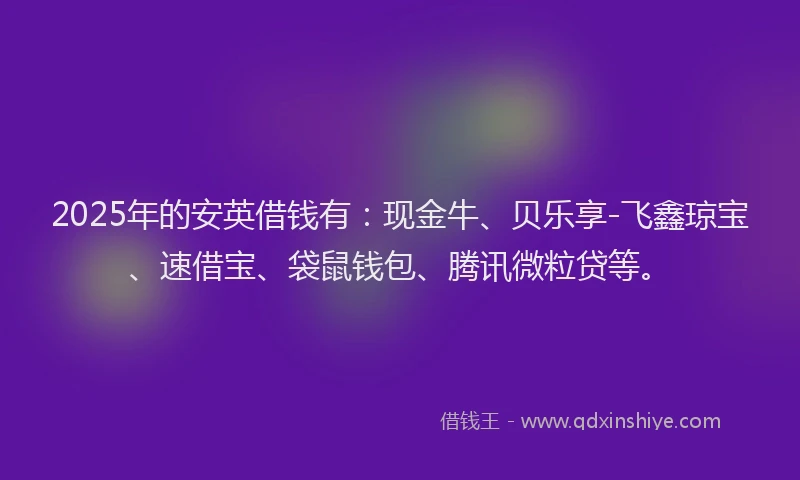 2025年的安英借钱有：现金牛、贝乐享-飞鑫琼宝、速借宝、袋鼠钱包、腾讯微粒贷等。