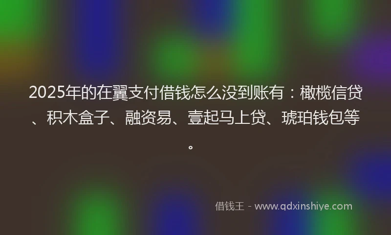 2025年的在翼支付借钱怎么没到账有：橄榄信贷、积木盒子、融资易、壹起马上贷、琥珀钱包等。