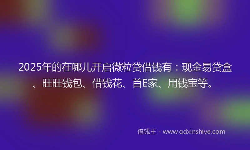 2025年的在哪儿开启微粒贷借钱有：现金易贷盒、旺旺钱包、借钱花、首E家、用钱宝等。