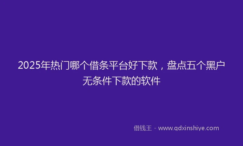 2025年热门哪个借条平台好下款，盘点五个黑户无条件下款的软件