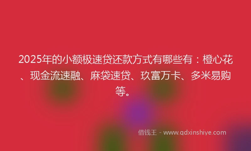 2025年的小额极速贷还款方式有哪些有：橙心花、现金流速融、麻袋速贷、玖富万卡、多米易购等。