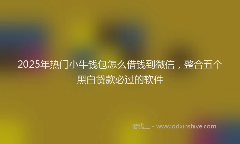 2025年热门小牛钱包怎么借钱到微信，整合五个黑白贷款必过的软件