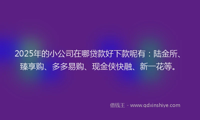 2025年的小公司在哪贷款好下款呢有：陆金所、臻享购、多多易购、现金侠快融、新一花等。