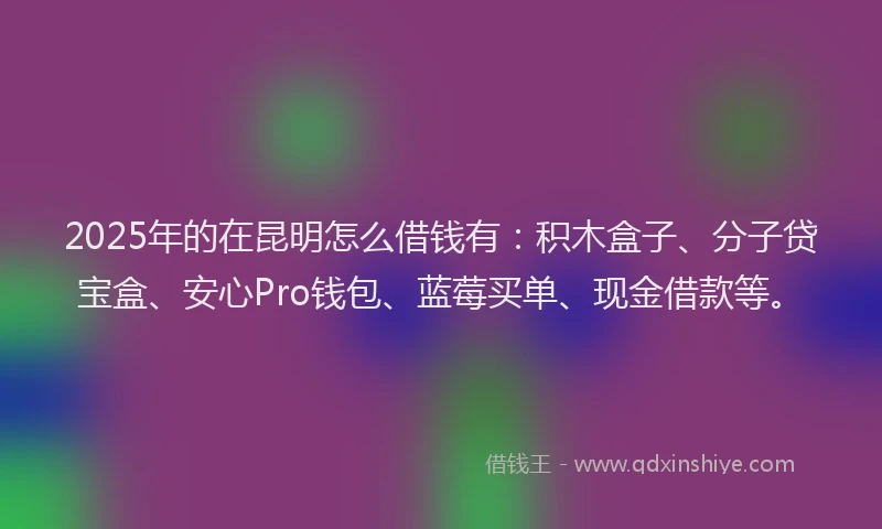 2025年的在昆明怎么借钱有：积木盒子、分子贷宝盒、安心Pro钱包、蓝莓买单、现金借款等。
