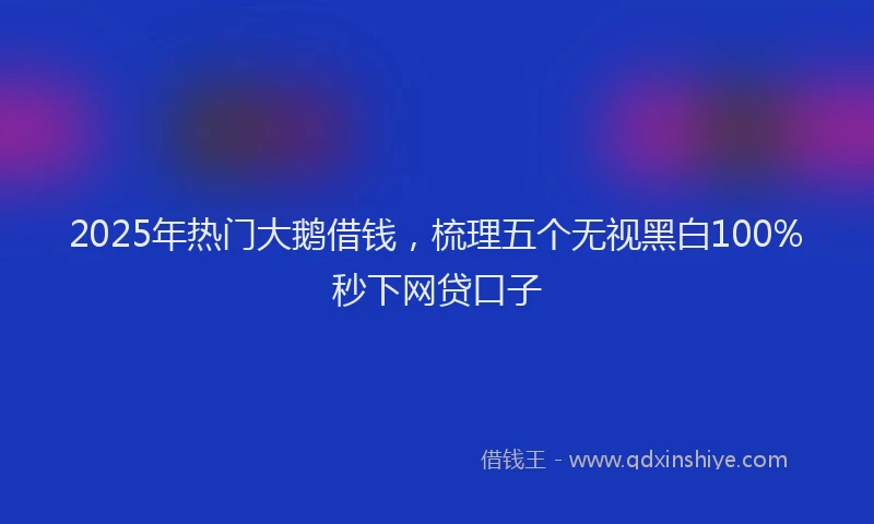 2025年热门大鹅借钱，梳理五个无视黑白100%秒下网贷口子