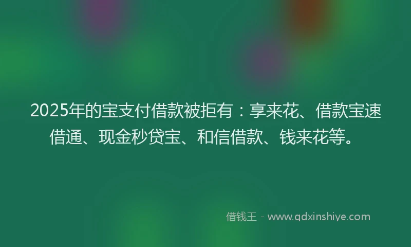 2025年的宝支付借款被拒有：享来花、借款宝速借通、现金秒贷宝、和信借款、钱来花等。