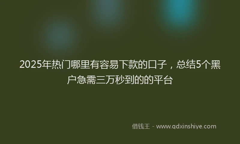 2025年热门哪里有容易下款的口子，总结5个黑户急需三万秒到的的平台