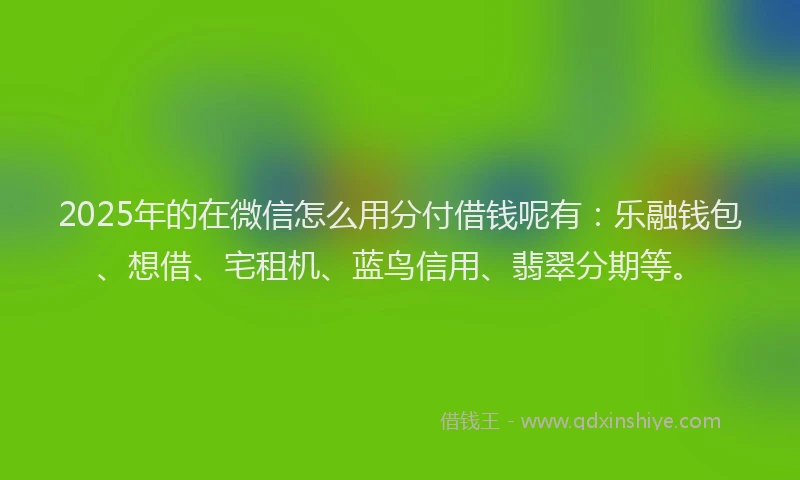 2025年的在微信怎么用分付借钱呢有：乐融钱包、想借、宅租机、蓝鸟信用、翡翠分期等。