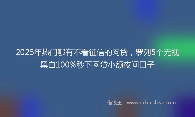 2025年热门哪有不看征信的网贷，罗列5个无视黑白100%秒下网贷小额夜间口子