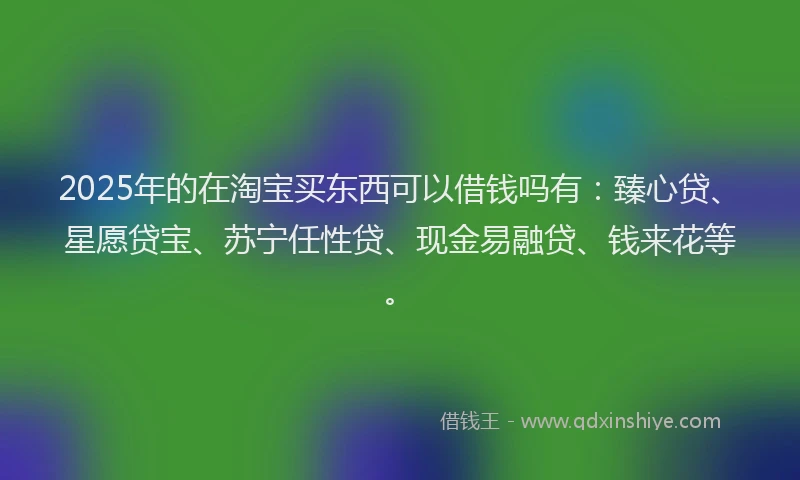 2025年的在淘宝买东西可以借钱吗有：臻心贷、星愿贷宝、苏宁任性贷、现金易融贷、钱来花等。