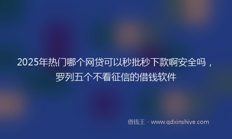 2025年热门哪个网贷可以秒批秒下款啊安全吗，罗列五个不看征信的借钱软件
