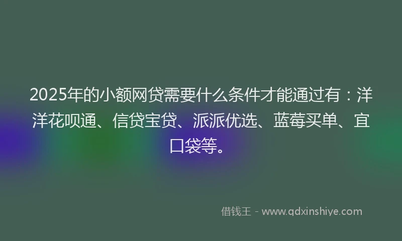 2025年的小额网贷需要什么条件才能通过有：洋洋花呗通、信贷宝贷、派派优选、蓝莓买单、宜口袋等。