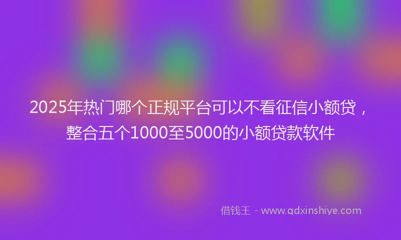 2025年热门哪个正规平台可以不看征信小额贷，整合五个1000至5000的小额贷款软件