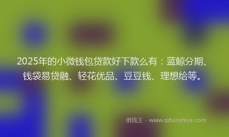 2025年的小微钱包贷款好下款么有：蓝鲸分期、钱袋易贷融、轻花优品、豆豆钱、理想给等。
