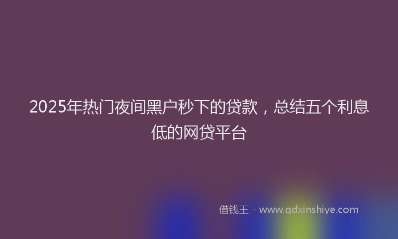 2025年热门夜间黑户秒下的贷款，总结五个利息低的网贷平台