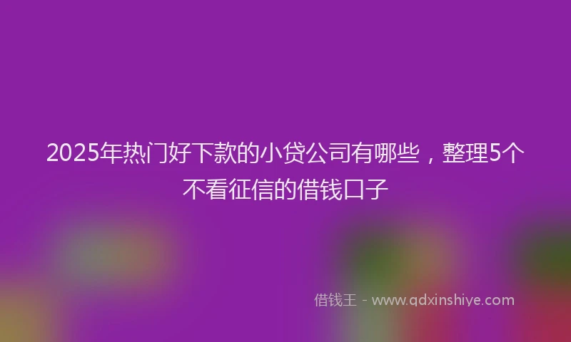 2025年热门好下款的小贷公司有哪些，整理5个不看征信的借钱口子