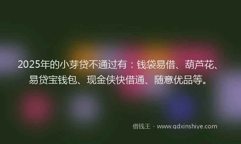 2025年的小芽贷不通过有:钱袋易借、葫芦花、易贷宝钱包、现金侠快借通、随意优品等。