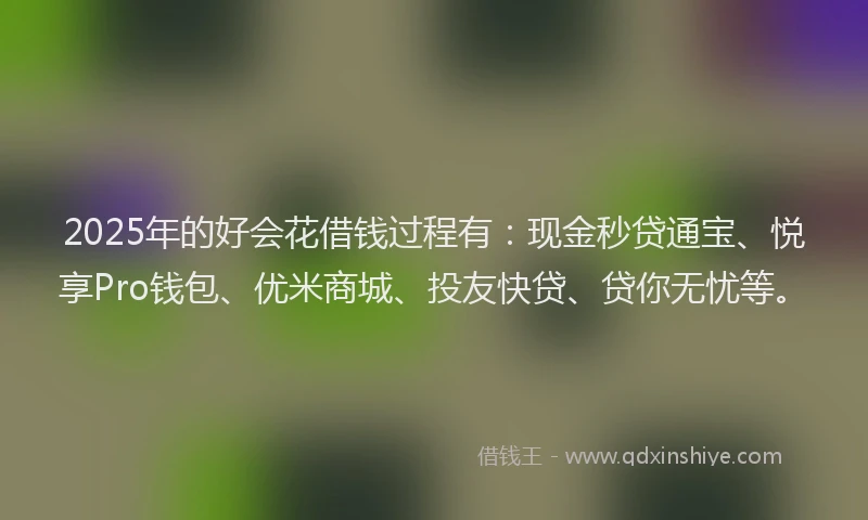 2025年的好会花借钱过程有：现金秒贷通宝、悦享Pro钱包、优米商城、投友快贷、贷你无忧等。