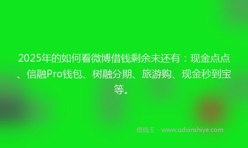 2025年的如何看微博借钱剩余未还有：现金点点、信融Pro钱包、树融分期、旅游购、现金秒到宝等。