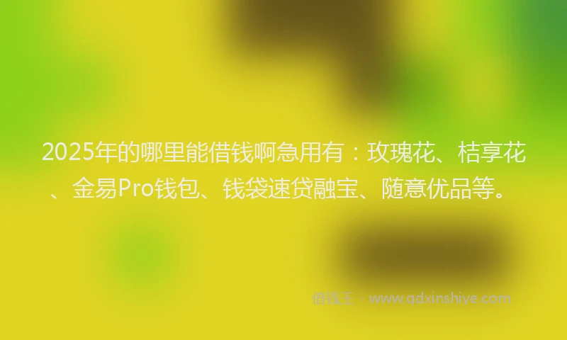 2025年的哪里能借钱啊急用有：玫瑰花、桔享花、金易Pro钱包、钱袋速贷融宝、随意优品等。