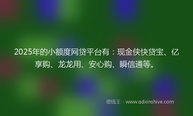 2025年的小额度网贷平台有：现金侠快贷宝、亿享购、龙龙用、安心购、瞬信通等。