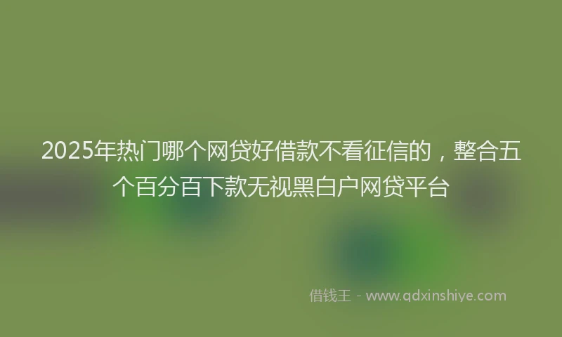 2025年热门哪个网贷好借款不看征信的，整合五个百分百下款无视黑白户网贷平台
