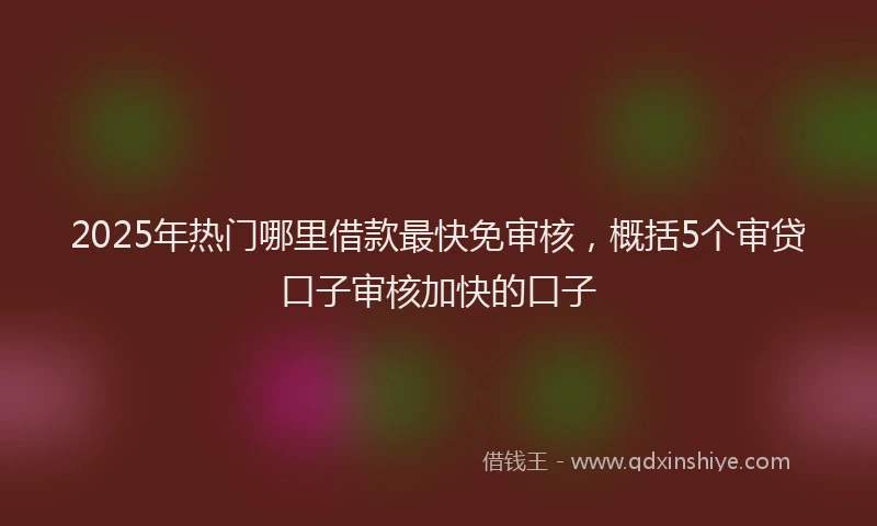 2025年热门哪里借款最快免审核，概括5个审贷口子审核加快的口子