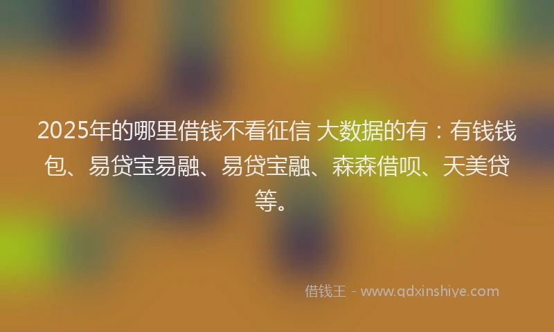 2025年的哪里借钱不看征信 大数据的有：有钱钱包、易贷宝易融、易贷宝融、森森借呗、天美贷等。